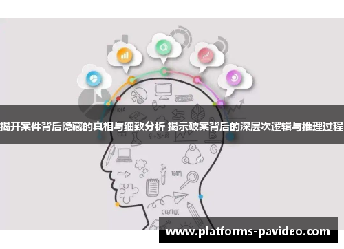 揭开案件背后隐藏的真相与细致分析 揭示破案背后的深层次逻辑与推理过程