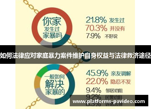 如何法律应对家庭暴力案件维护自身权益与法律救济途径
