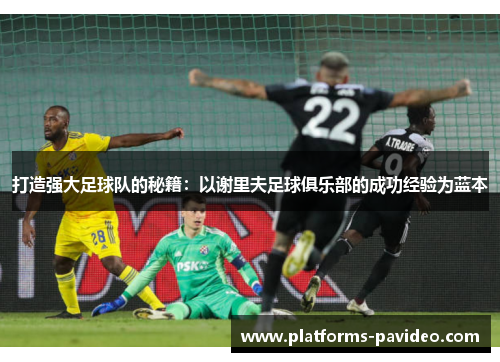 打造强大足球队的秘籍：以谢里夫足球俱乐部的成功经验为蓝本