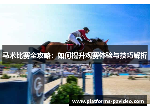 马术比赛全攻略:如何提升观赛体验与技巧解析 马术比赛全攻略:如何提升观赛体验与技巧解析