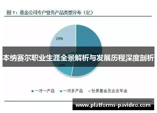 本纳赛尔职业生涯全景解析与发展历程深度剖析