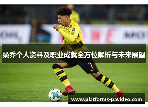 桑乔个人资料及职业成就全方位解析与未来展望