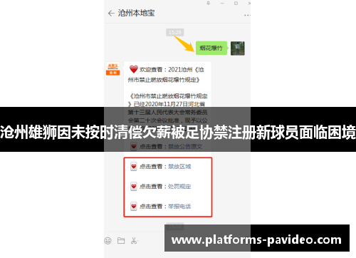 沧州雄狮因未按时清偿欠薪被足协禁注册新球员面临困境