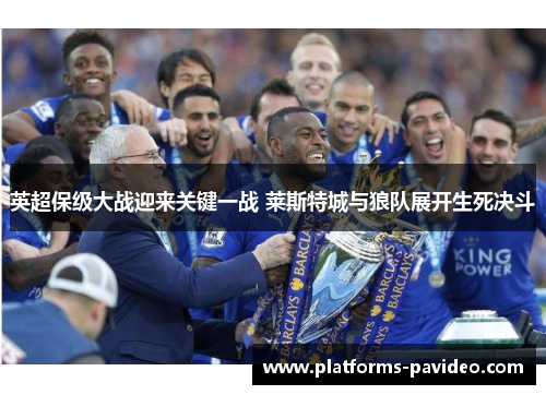 英超保级大战迎来关键一战 莱斯特城与狼队展开生死决斗 英超保级大战迎来关键一战 莱斯特城与狼队展开生死决斗